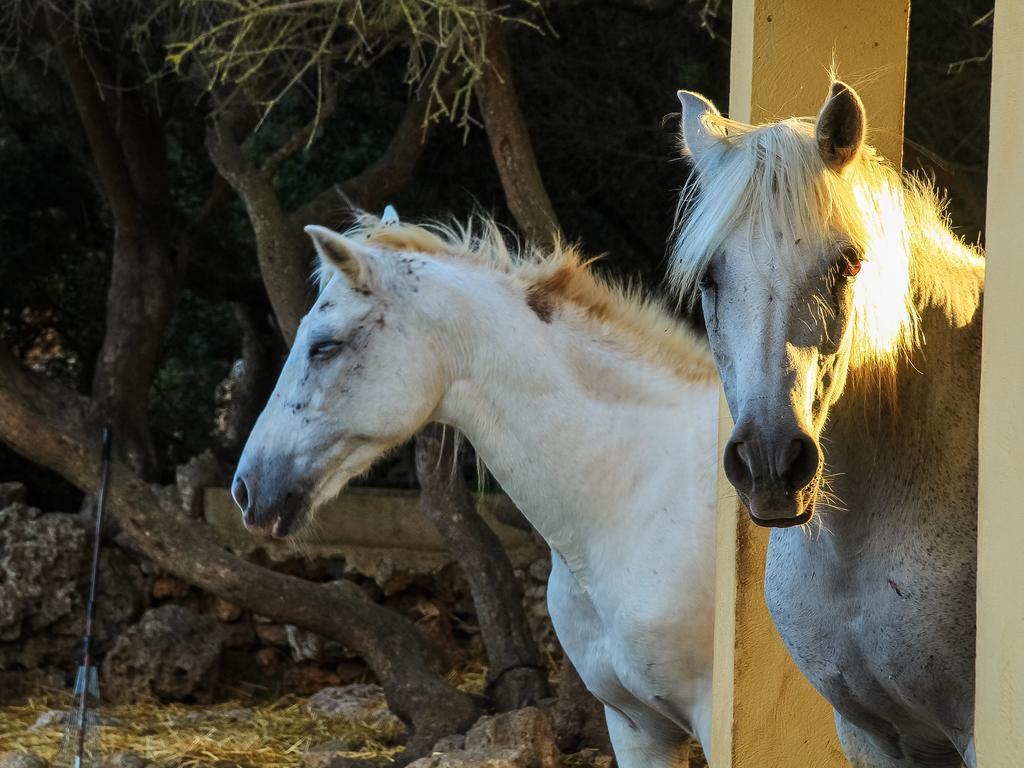 Finca Hotel Rural Predio Son Serra Кан Пикафорт Екстериор снимка